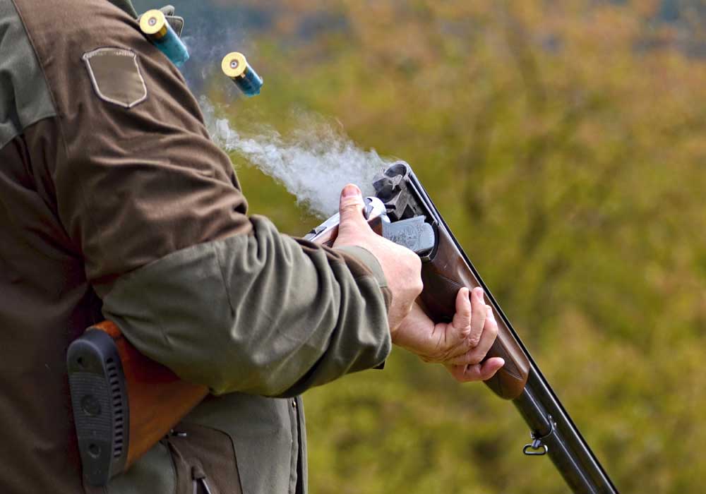 Simulated Game Shooting, Northern Ireland : Tempo Manor, Co Fermanagh